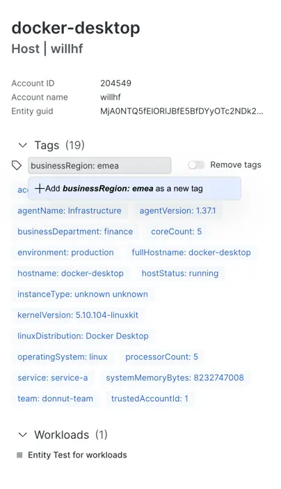 Adding a “businessRegion: emea” tag to the docker-desktop host.