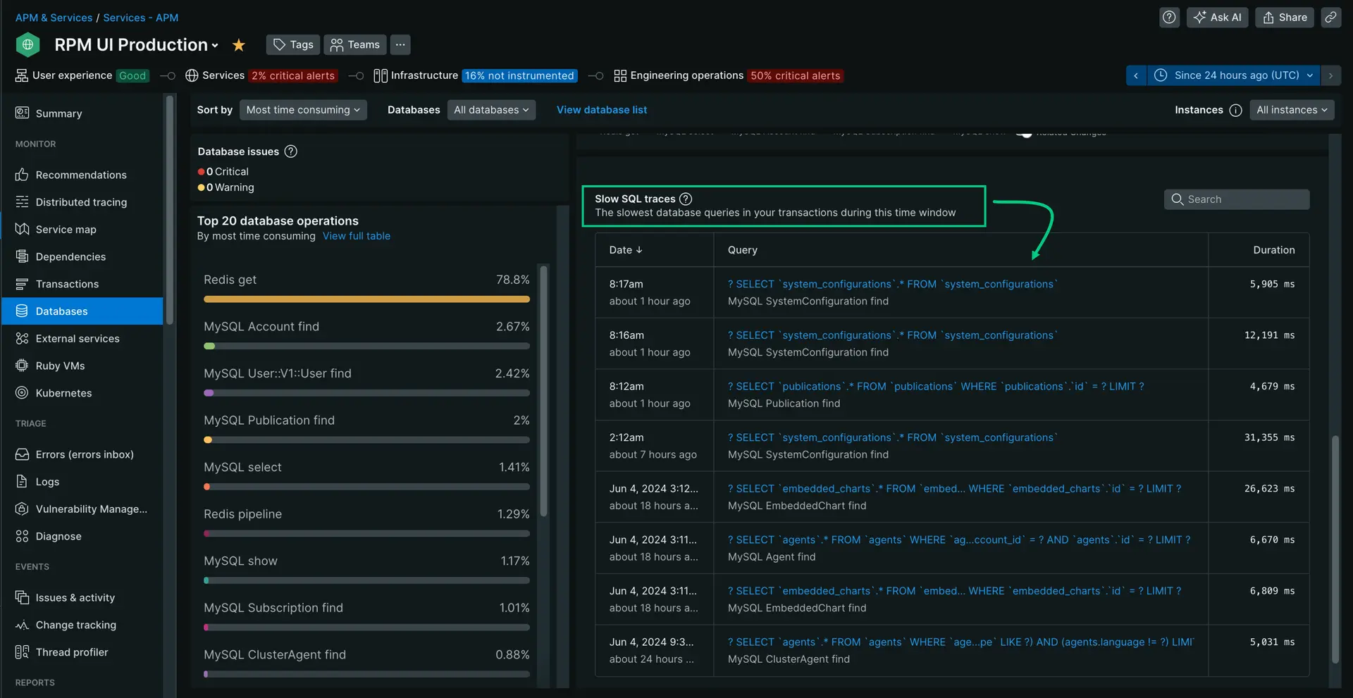 Screenshot showing the APM databases page with slow queries