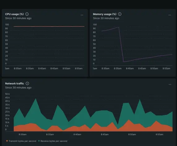 A screenshot cropped to only display the network and CPU charts