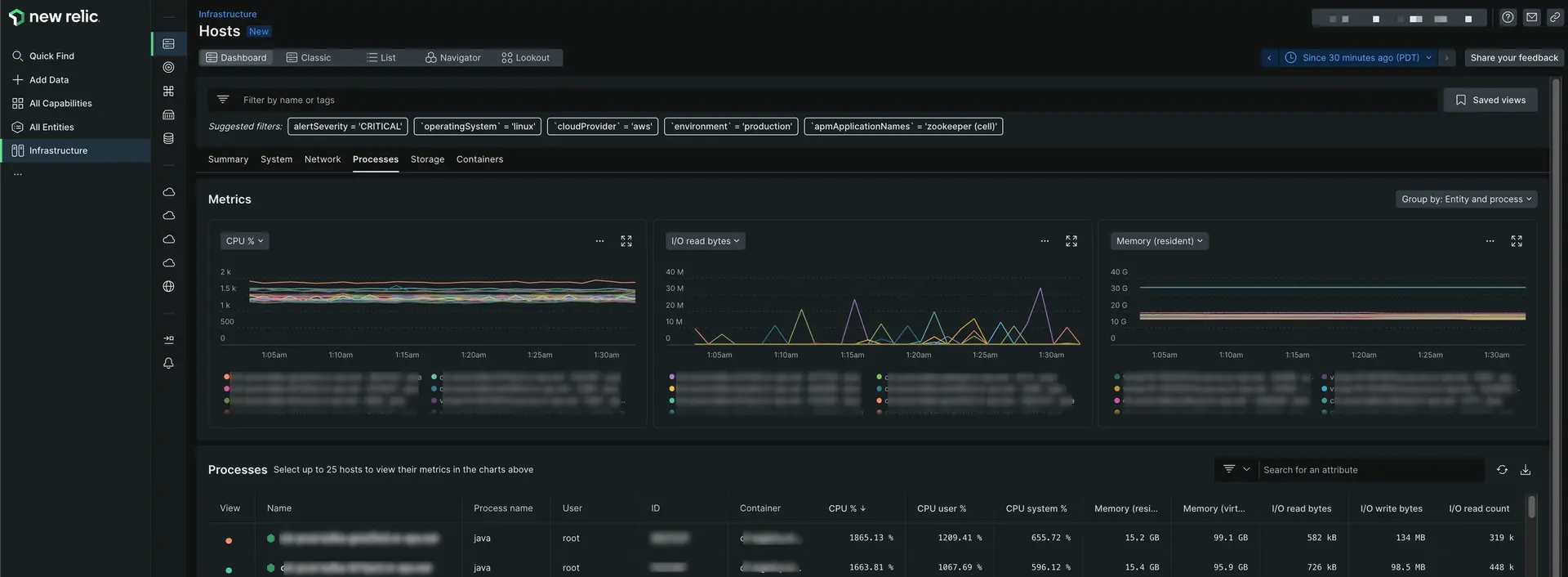 Hosts Processes page