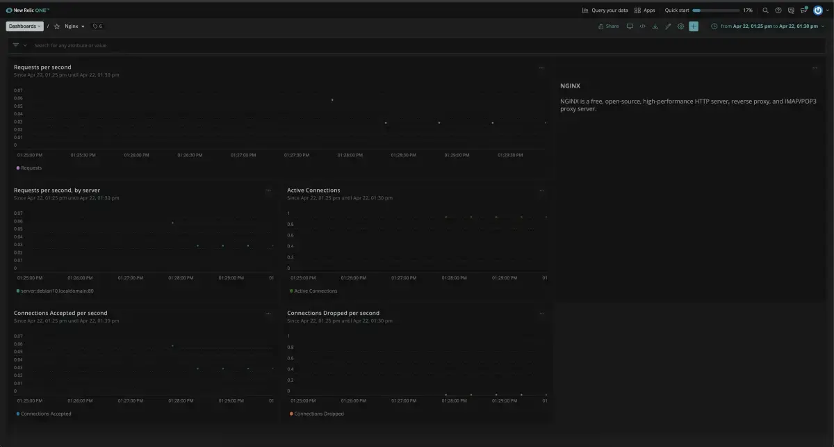 Image of the dashboard available through the NGINX quickstart