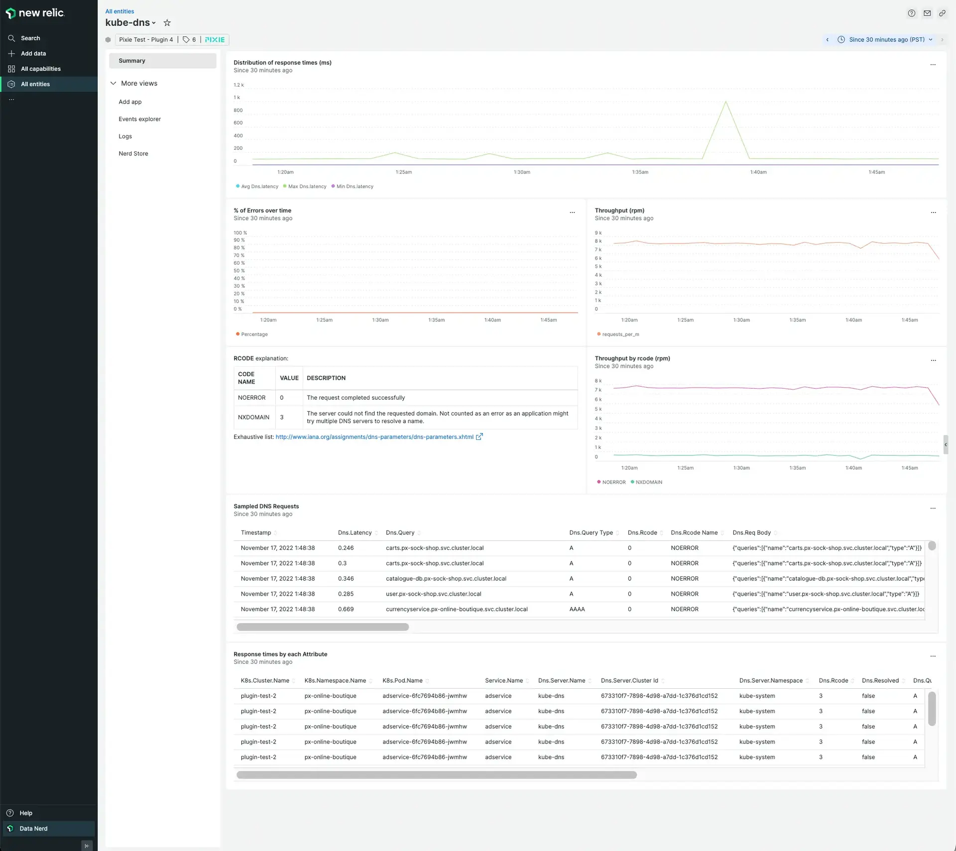 The DNS Pixie entity shows golden metrics and full-body DNS request and response pairs traced by Pixie