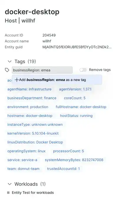 Adding a “businessRegion: emea” tag to the docker-desktop host.