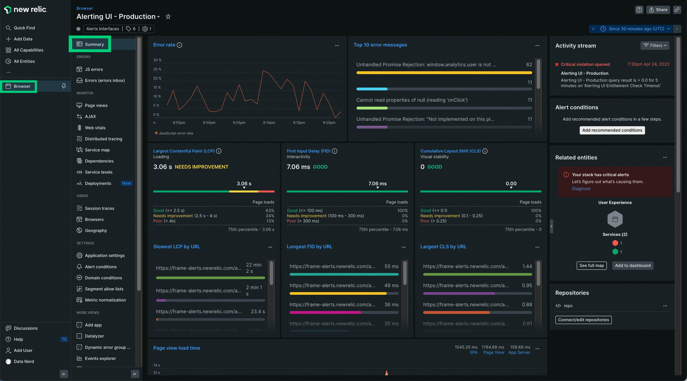 New Relic browser agent summary page.