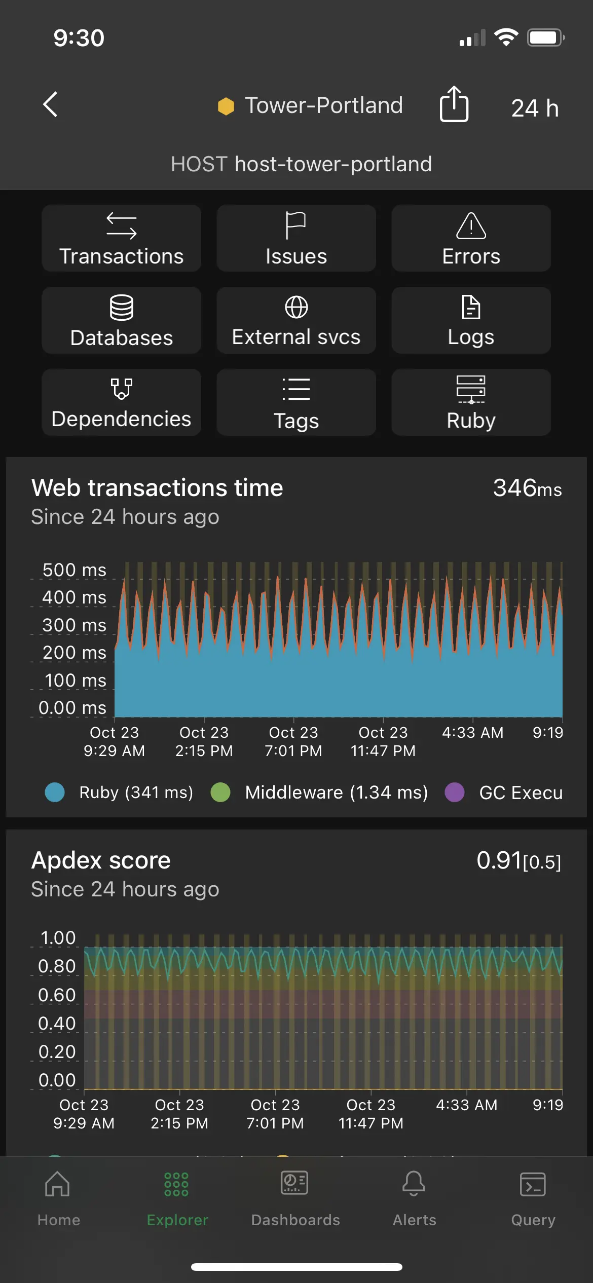 APM dashboard in the New Relic iOS app