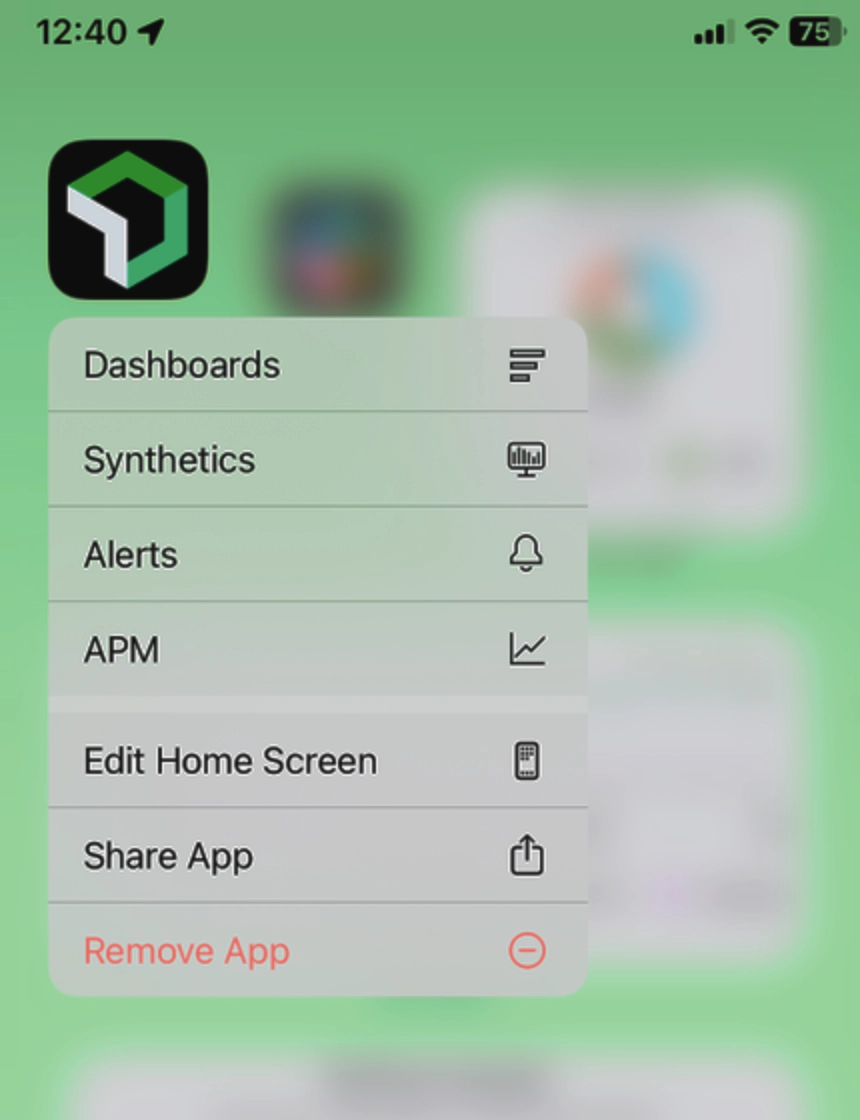 A screenshot of some favorites on the home screen.