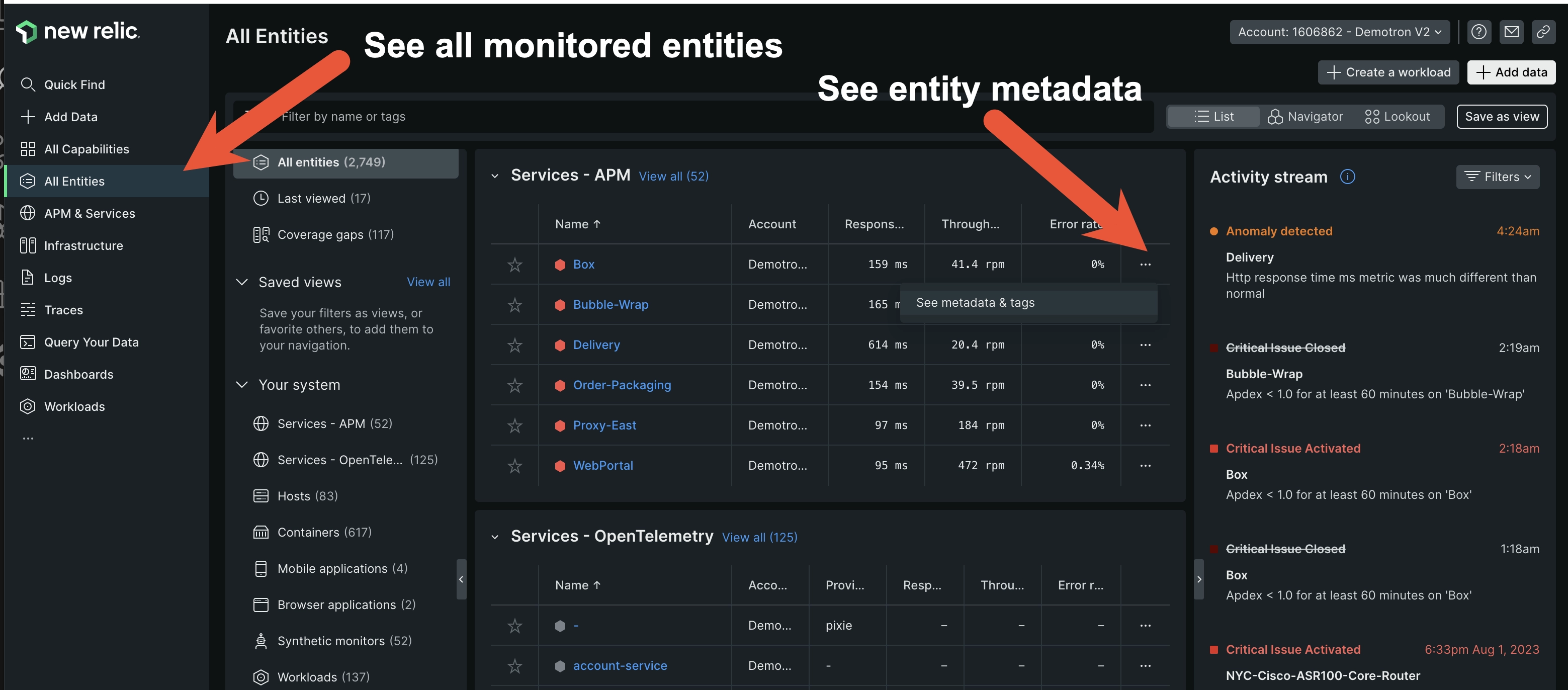 New Relic entity list view